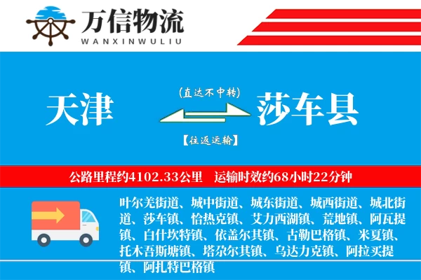 天津到莎车县物流公司