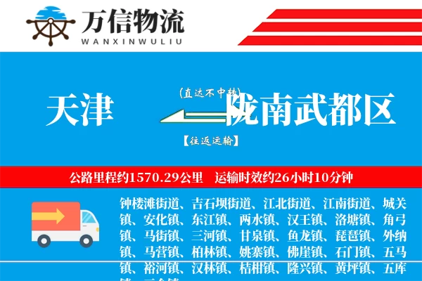 天津到陇南武都区物流公司