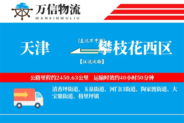 天津到攀枝花西区物流公司