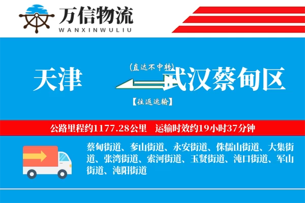 天津到武汉蔡甸区物流公司