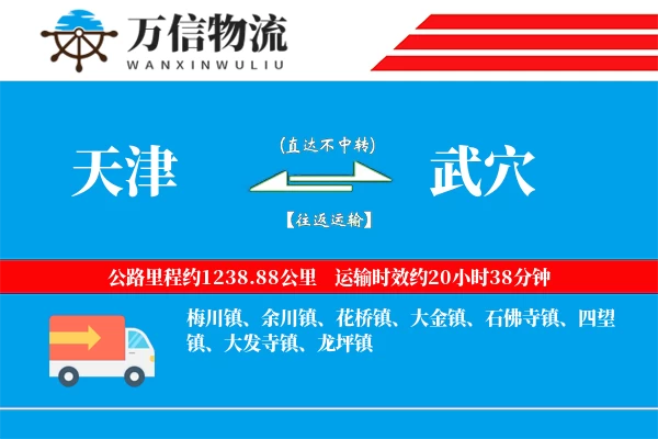 天津到武穴物流公司