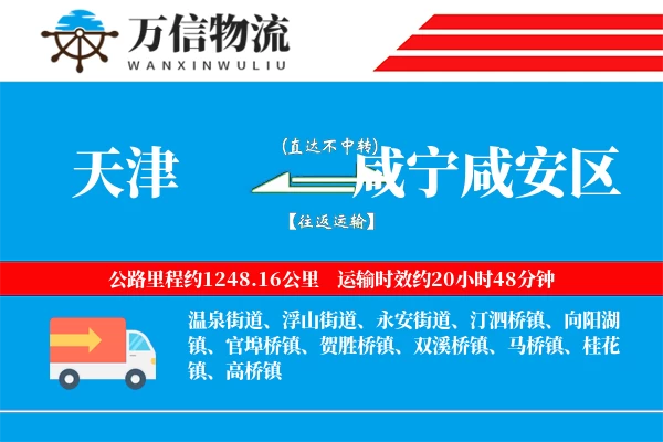 天津到咸宁咸安区物流公司